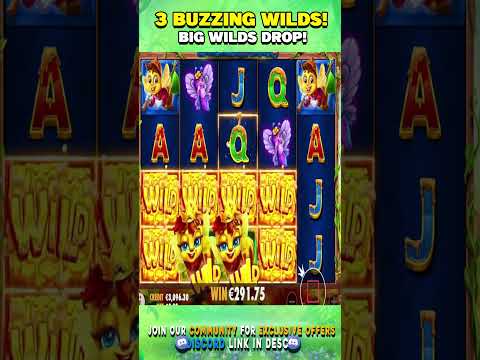 Thumbnail for video: BUZZING FINALLY GOES WILD FOR ME