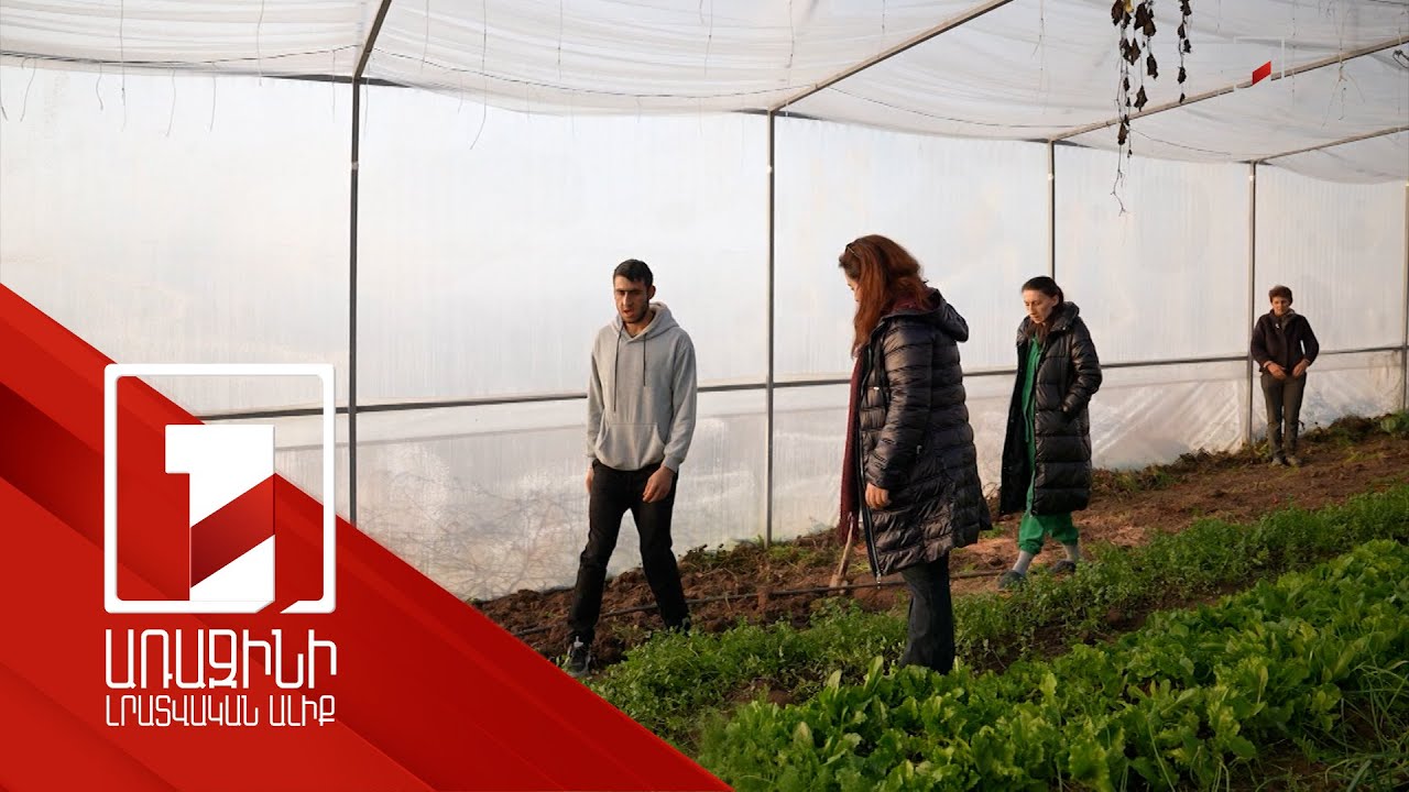 «Իմ քայլը» հիմնադրամը Լոռու և Արագածոտնի մարզերում մշտադիտարկել է ջերմոցային աշխատանքները