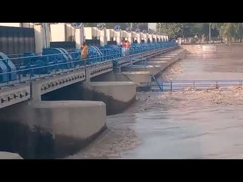 Massive Flash Flood in River | Nature's Fury unleashes#nature#flood#river#riverflooding #flashflood 
