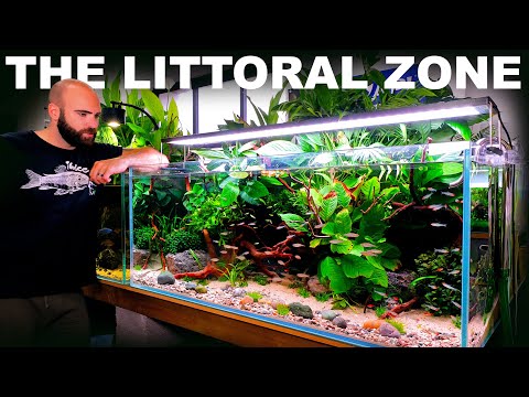 The Littoral Zone: EPIC Open Beach Community Aquarium (Aquascape Tutorial)