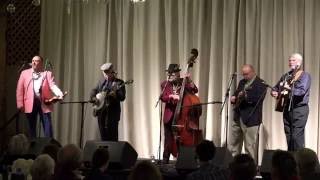 Tommy Edwards & The Bluegrass Experience - Somewhere Between Your Heart & Mine
