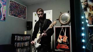 The Hippos - Struggling (Bass Cover)