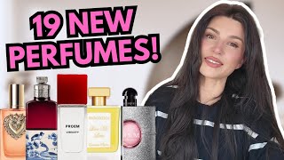 My BIGGEST fragrance haul!