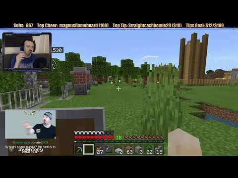 Minecraft "Chill Stream" Jan. 27, 2020 pt1 - Finishing Up the Shrine!