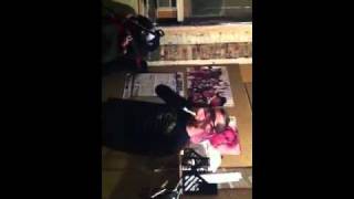 An Ascent - Born Of Osiris (cover)