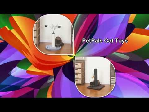 Best Cat Toys For Exercise PetPals Cat Toys