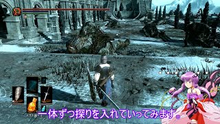 素直で温厚なゆかりさんのダークソウル３　PRT３６