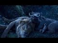 Simba Night Sky Scene THE LION KING Movie Scene 2019