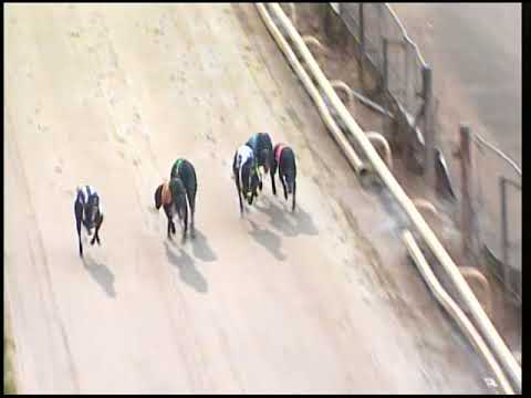 2017 GEORGE CARRIGILL MEMORIAL - HEAT 1 - T5 BLACKSTONE LYRIC