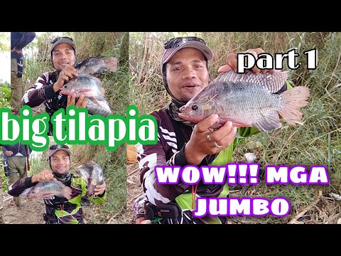 PART 1/BIG TILAPIA,SA WAKAS NAHULI KO DIN KAYO/Tiksay fish hunting