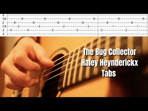 The Bug Collector - Haley Heyndrickx - Acoustic Guitar Tabs/Tutorial
