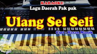 Download lagu LAGU PAK-PAK - ULANG SEL SELI - KARAOKE mp3 Download lagu LAGU PAK-PAK - ULANG SEL SELI - KARAOKE mp3