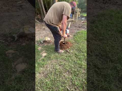 Harbor freight predator auger #harborfreighttools #harborfreight #duroc