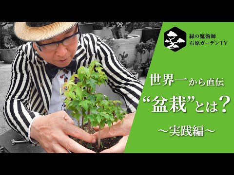 aménagement-jardin-japonais-terrasse-dalles-bonsaï