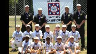 McCalla Baseball - 2014 Dixie Youth AA State Champions