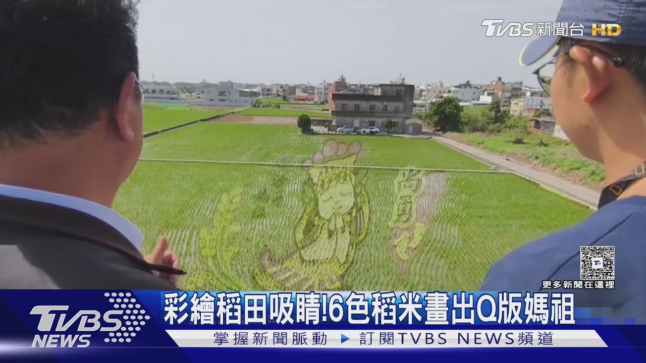 彩繪稻田吸睛! 6色稻米畫出Q版媽祖