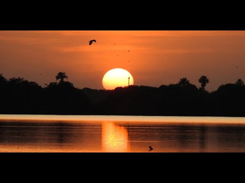 llanera instrumental - el llanerazo entreverao