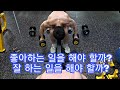[한의빌더] 좋아하는 일을 해야 할까? 잘 하는 일을 해야 할까?