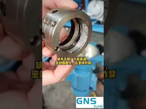 2BV Series Liquid Ring Vacuum Pump