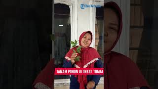Pengumuman Pemenang Kuis Ramadhan Episode 9: Tema Taubat
