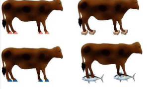 Elio e le storie tese - Il vitello dai piedi di balsa (VERSIONE ANIMATA)