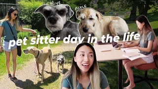 Day in the Life of a PET SITTER | travelling & pet sitting in the Okanagan, BC 🇨🇦 VLOG