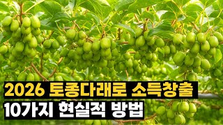 2026 토종다래로 산에서 돈버는 10가지 방법