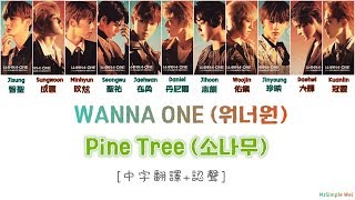 [中字翻譯+認聲] WANNA ONE (워너원) - Pine Tree (소나무/松樹)
