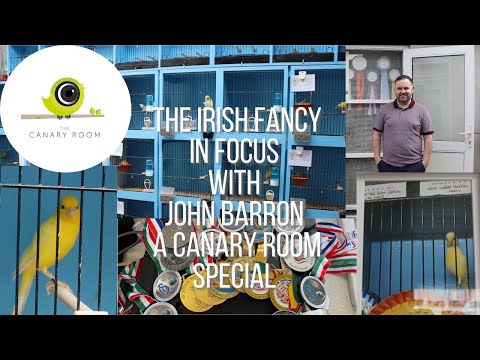 The Irish Fancy Canary - With John Barron A Canary Room Special