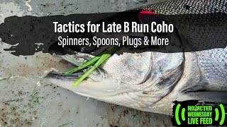 Tactics for Late B Run Coho: Spinners, Spoons, Plugs & More