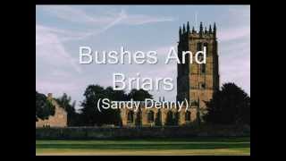 Bushes and Briars (Sandy Denny), tenor guitar &amp; mandolin instrumental