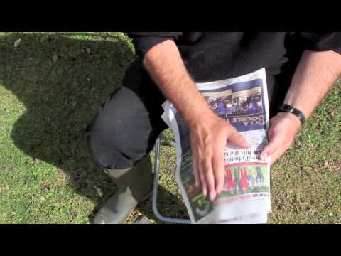 Make amazing wet bread fishing bait