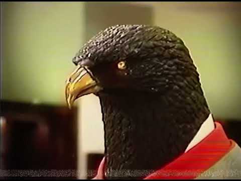 BlueBucksClan- 5:57 AM Freestyle (Music Video Preview)