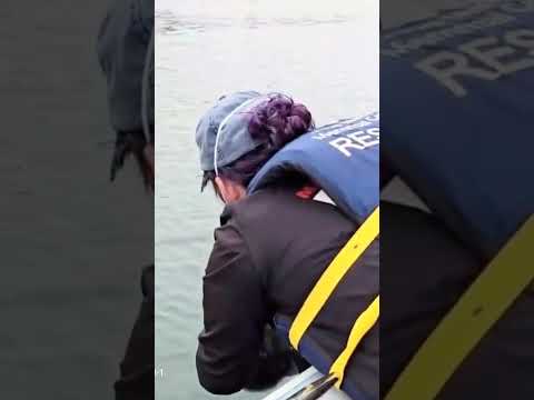 Stranded sea otter pup reunited with Mom in Morro Bay - YouTube