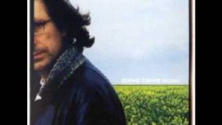 Steve Nieve- "Confident Again"