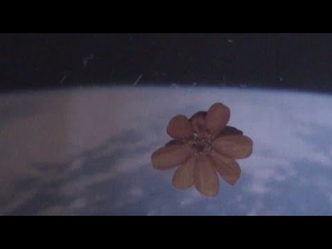 die sauna - skit (offizielles video)