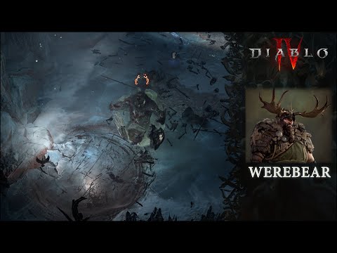 Werebear druid build Diablo 4, shapeshifter offtank !