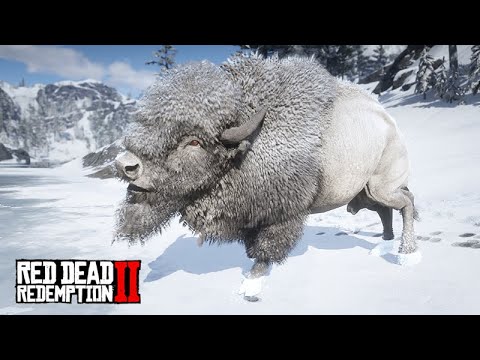 EM BUSCA DO GRANDE BISÃO BRANCO DA NEVE - Red Dead Redemption 2