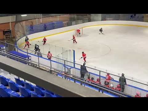 Državno prvenstvo Srbije U12 - HK Partizan : HK Vojvodina - 22:1   11.4.2021