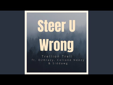Steer U Wrong (feat. O2Krazy, Colione Neezy & Siddawg)