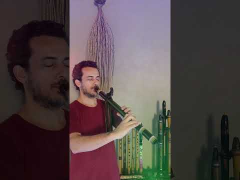 Improviso com Flauta Estilo Nativa Americana (NAF) - F
