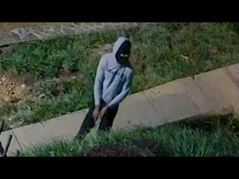 Person of Interest in ADW (Gun), 2600 b/o Jasper St, SE, on August 22, 2021