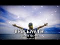 BHOLENATH Slowed Reverb New Lofi Song SR1 Slowed
