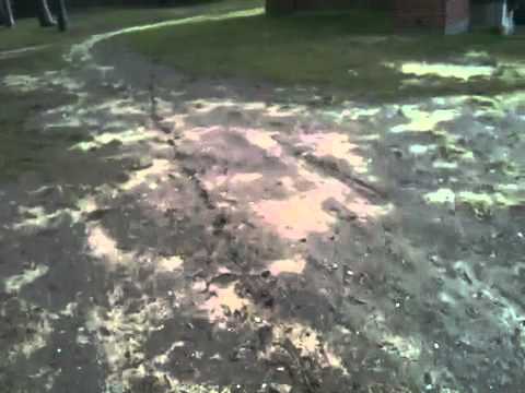 Diebstahl eines Drachen am Wasserturm in Rodgau Jügesheim