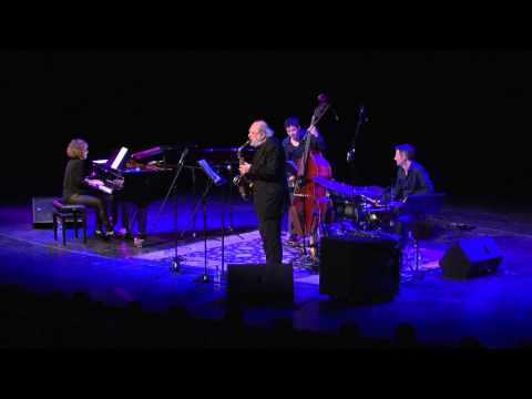 Anat Fort quartet: Late ray of sunshine