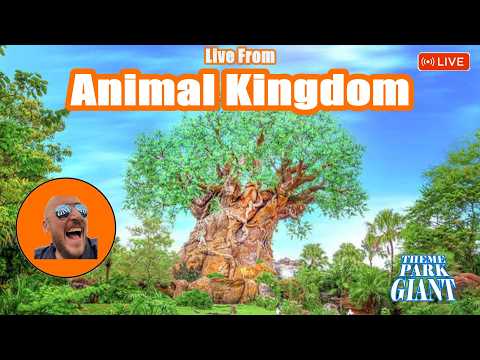 Live webcam of Theme Park Giant