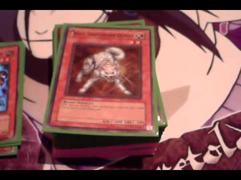 Yugioh Deck Profile: Domestic Petz (QuickdrawDandyWarrior + SynchroCat) What?!?!