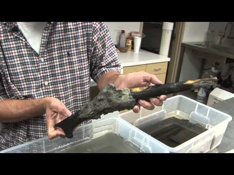 Amazing artifacts from a Jamestown well