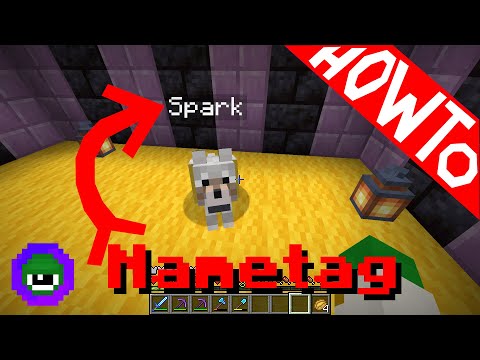 Minecraft: How to Use and Rename a Nametag - Tutorial