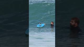 When you’re a penguin, the surf’s ALWAYS up! Fuzzy Cape Town, SA. Shot by @bodyboardsouthafrica8921
